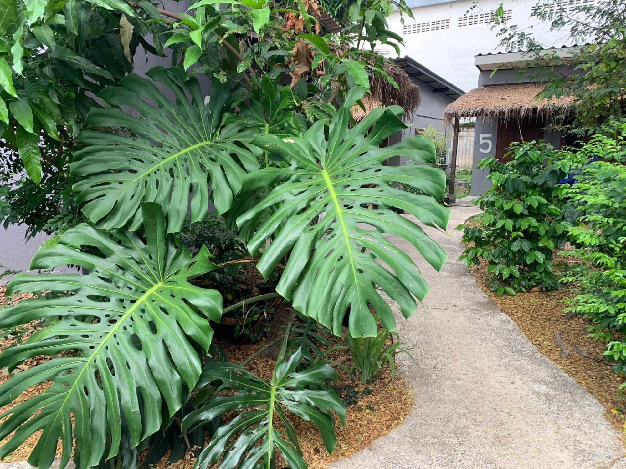 บ้านใจแปงโฮมสเตย์ Ban Jaipang Homestay Pai Luaran gambar