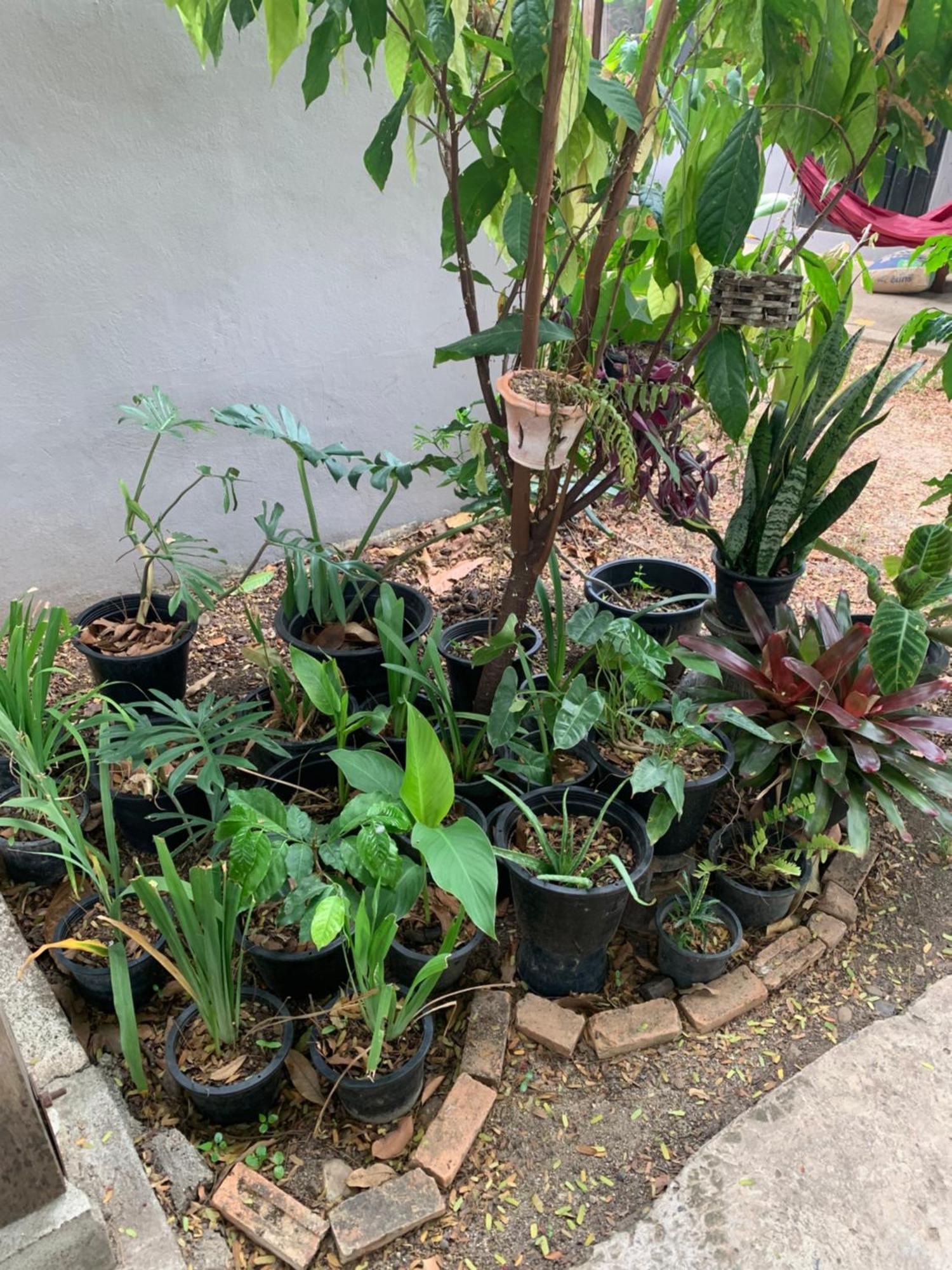 บ้านใจแปงโฮมสเตย์ Ban Jaipang Homestay Pai Luaran gambar